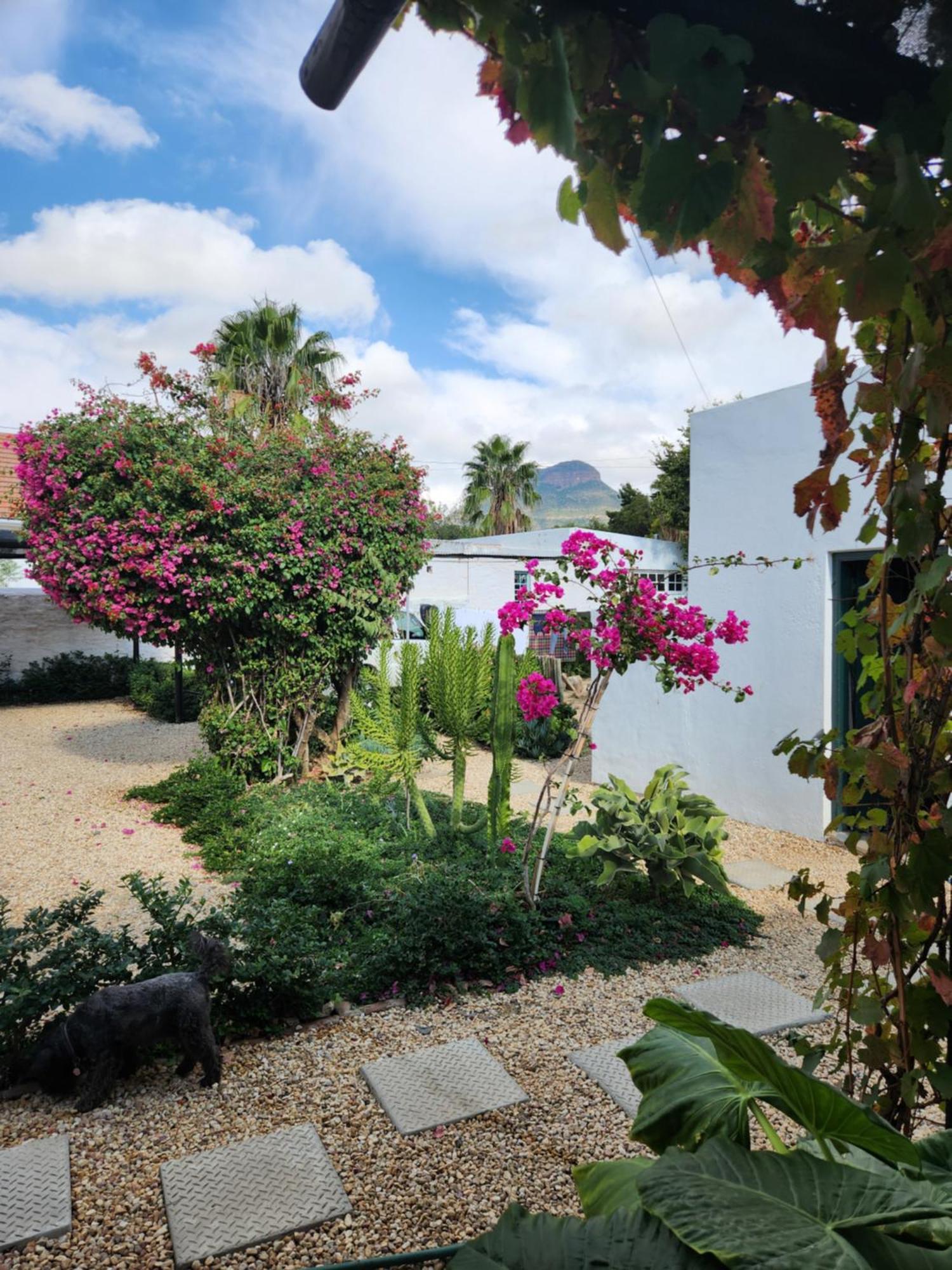 Die Dorpshuis Graaff-Reinet Εξωτερικό φωτογραφία