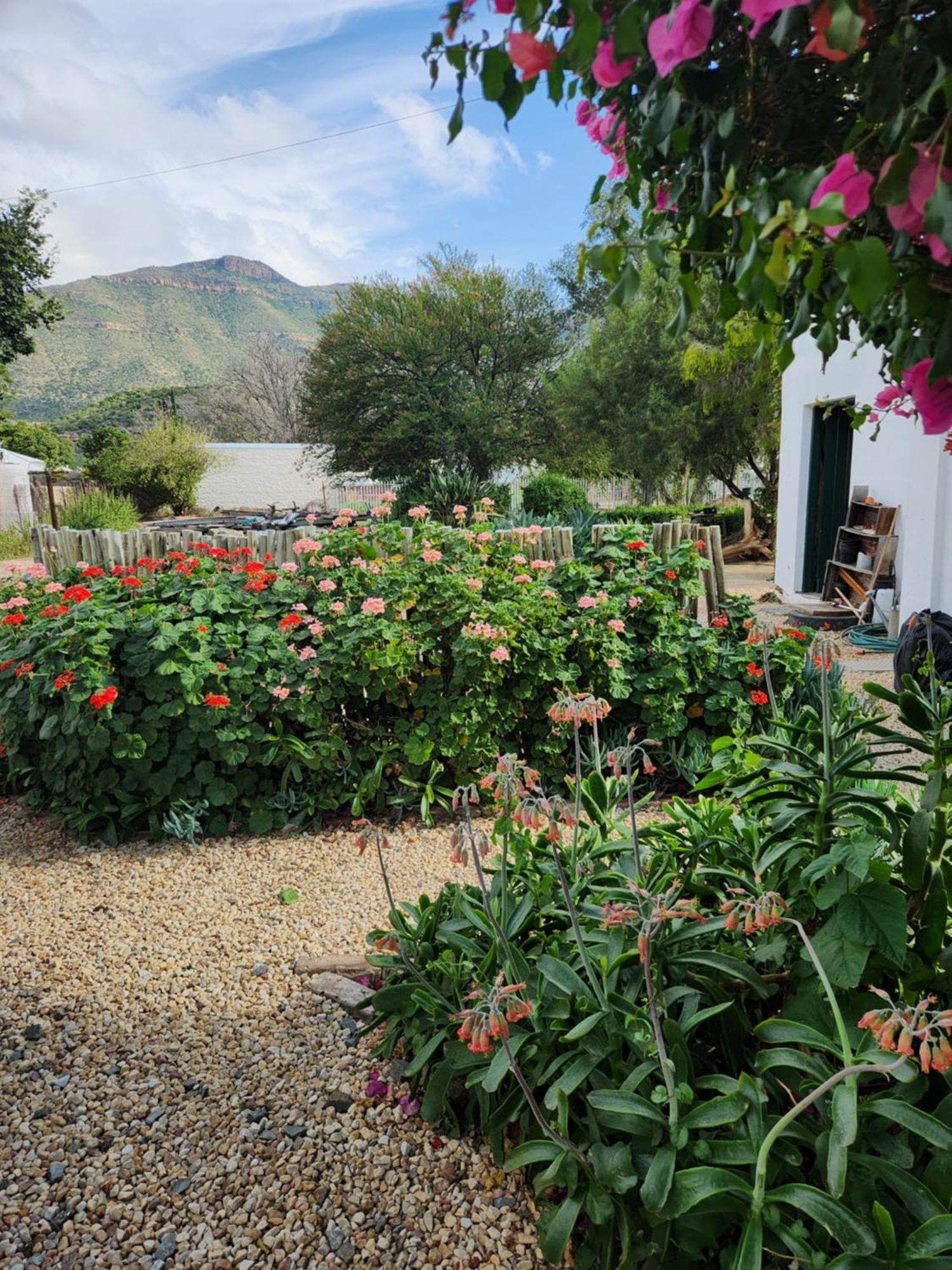 Die Dorpshuis Graaff-Reinet Εξωτερικό φωτογραφία
